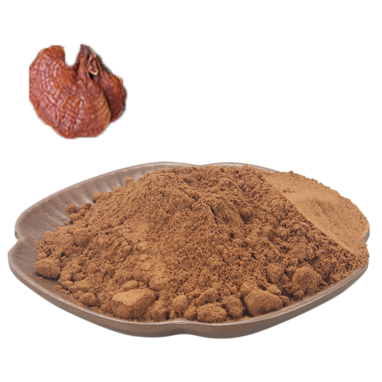 Discover the Science Behind Beta-Glucans in Reishi